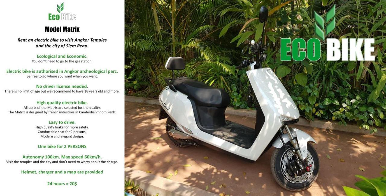 Eco Villa Siem Reap Eksteriør billede
